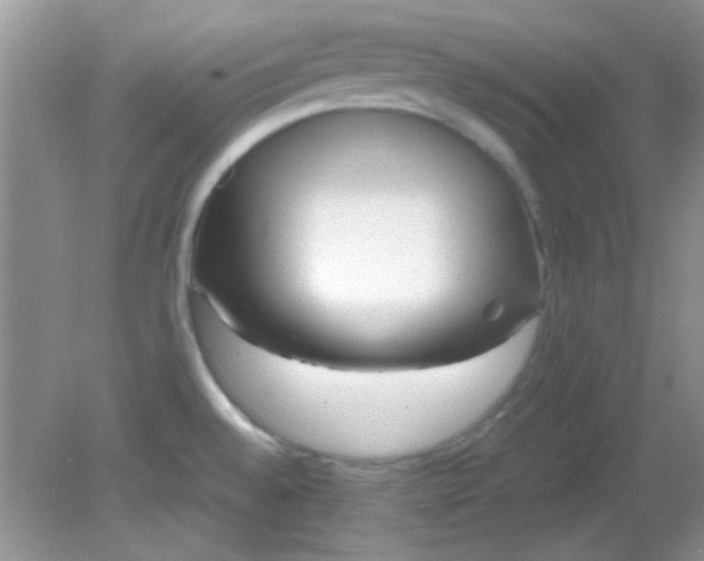 X0000081611528200701291414