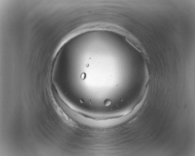 X0000081611530200701291414