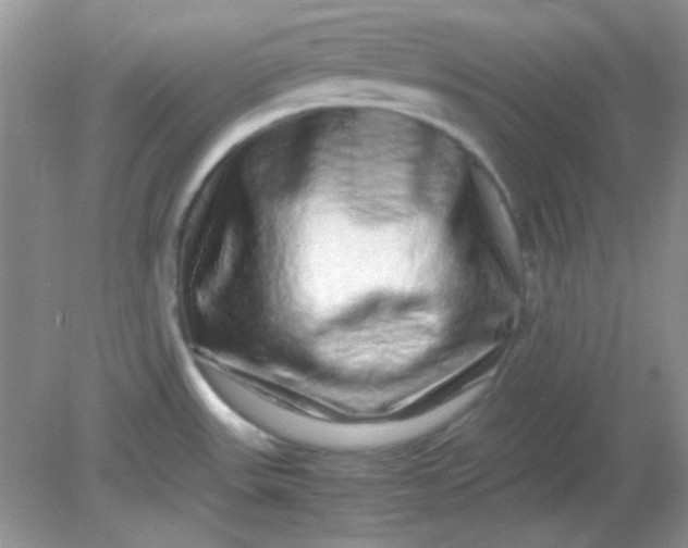 X0000081611531200701291414