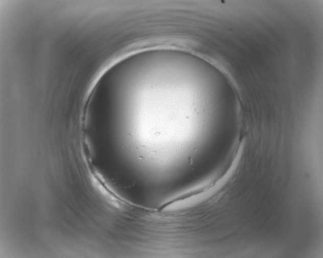 X0000081611532200701291414