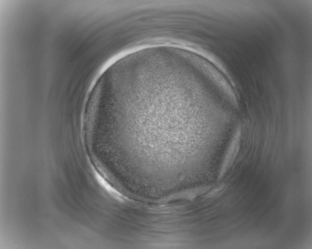 X0000081611535200701291414