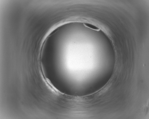 X0000081611536200701291414