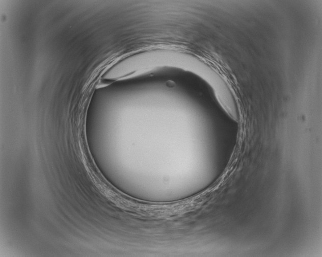 X0000081610001200702051406