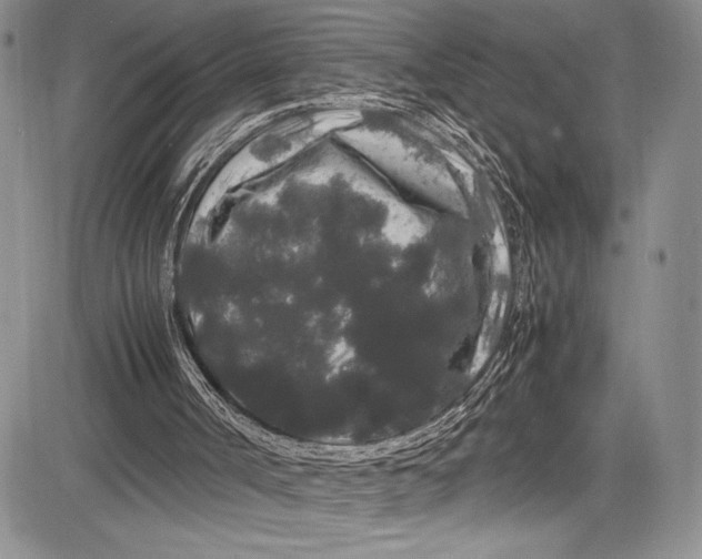 X0000081610002200702051406