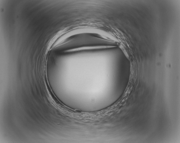 X0000081610003200702051406