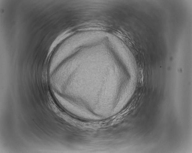 X0000081610004200702051406