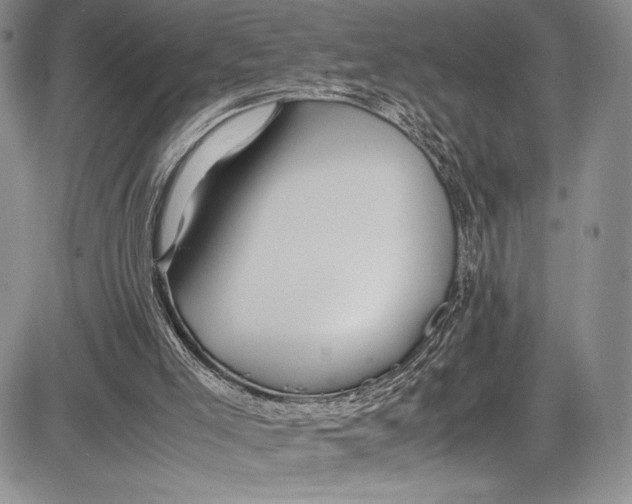 X0000081610005200702051406