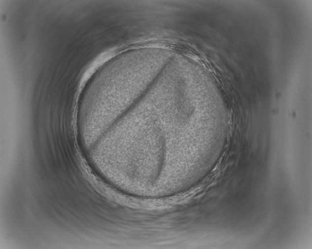 X0000081610006200702051406