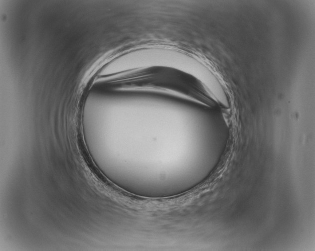 X0000081610007200702051406