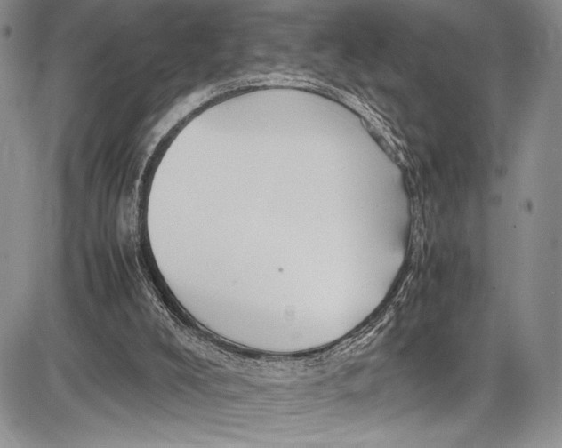 X0000081610008200702051406