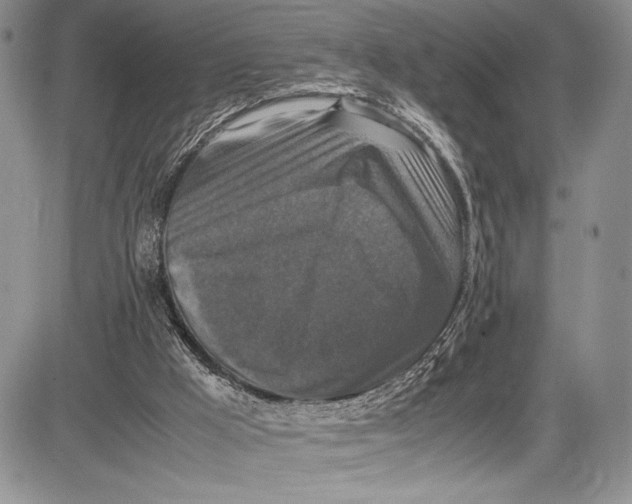 X0000081610009200702051406