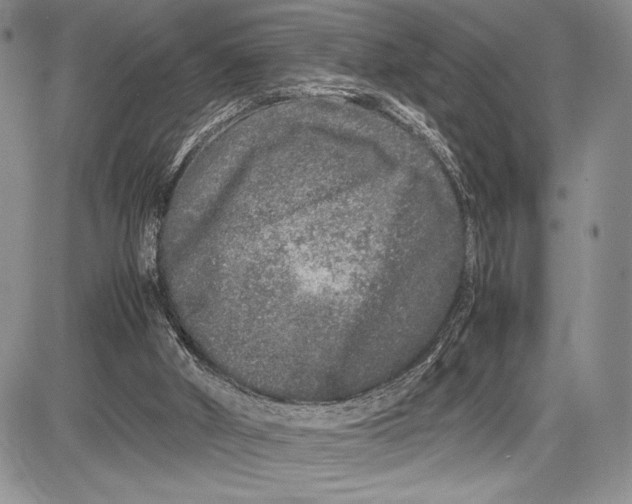 X0000081610010200702051406