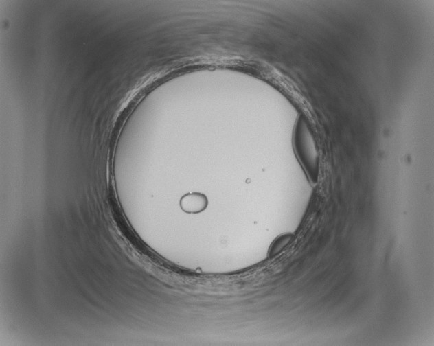 X0000081610011200702051406