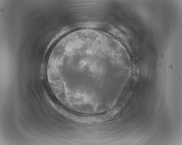 X0000081610012200702051406