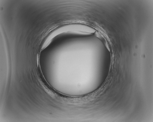 X0000081610013200702051406