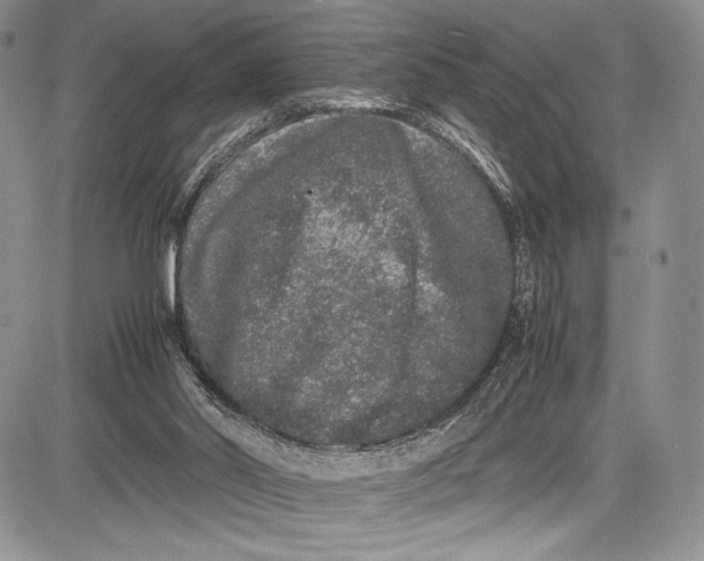 X0000081610014200702051406