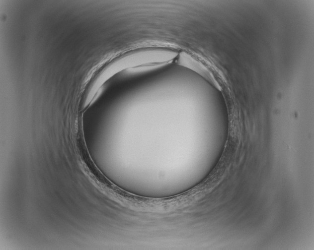 X0000081610015200702051406