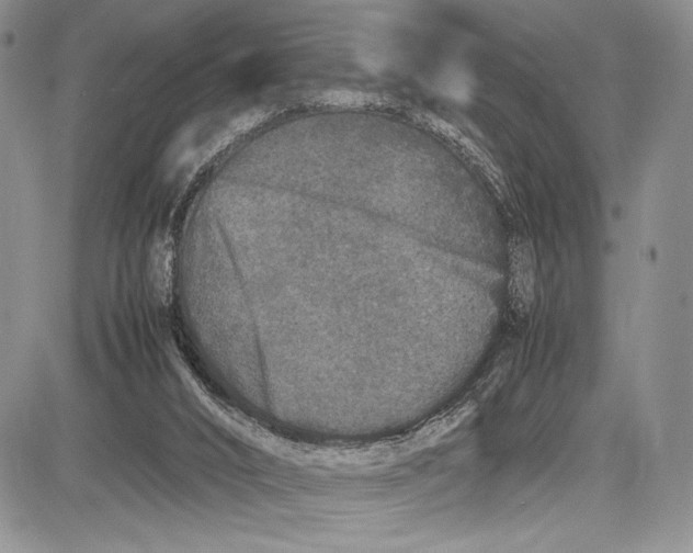 X0000081610016200702051406