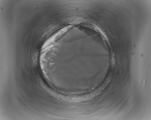 X0000081610018200702051405