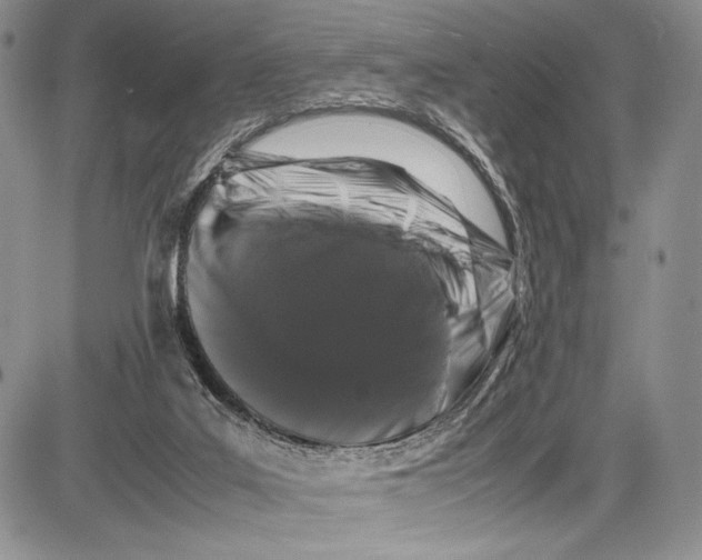 X0000081610019200702051405