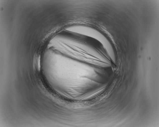 X0000081610020200702051405