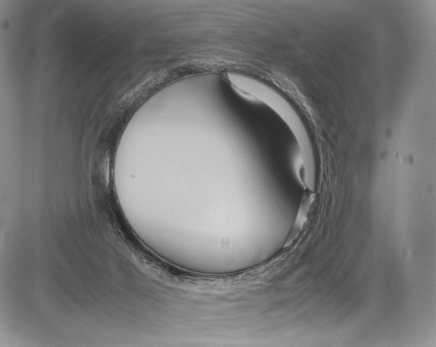 X0000081610021200702051405