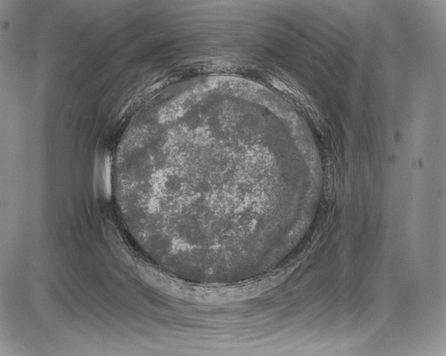 X0000081610022200702051405