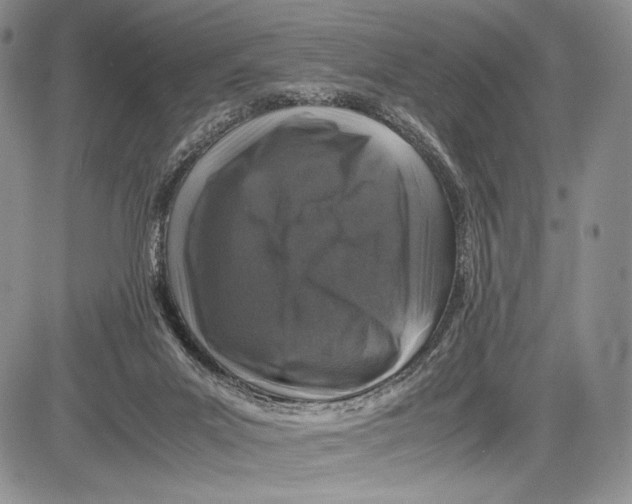 X0000081610023200702051405