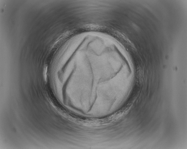 X0000081610024200702051405