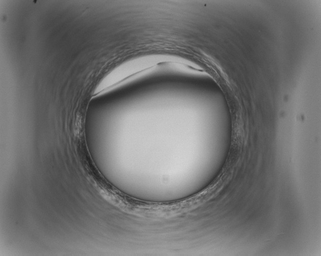 X0000081610025200702051405