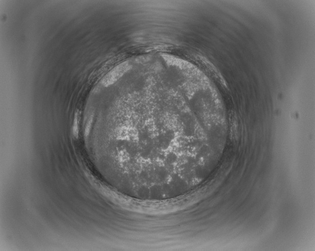 X0000081610026200702051405