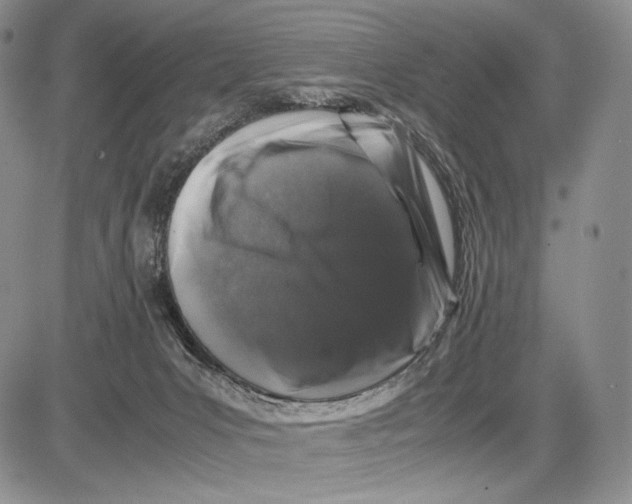 X0000081610031200702051405