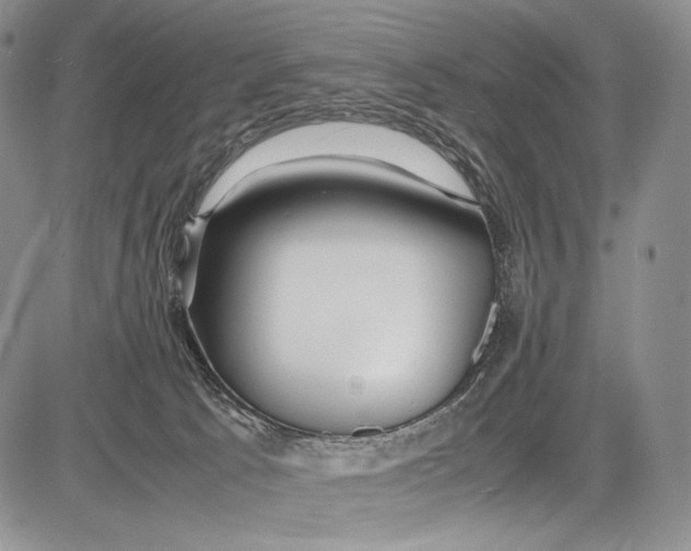 X0000081610033200702051405