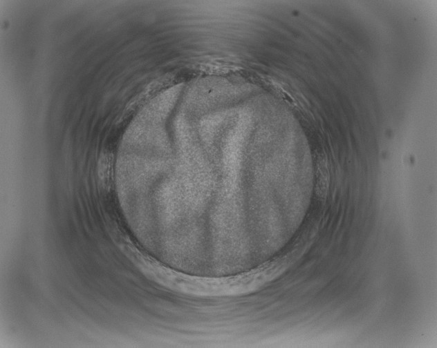 X0000081610034200702051405