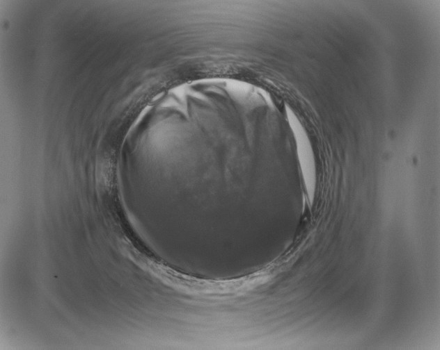 X0000081610035200702051405