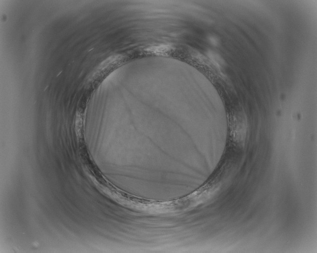 X0000081610036200702051405