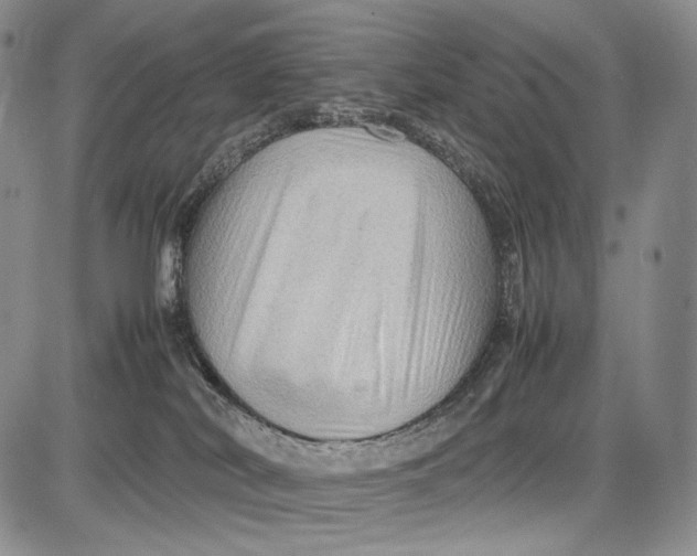 X0000081610038200702051405