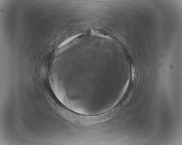 X0000081610039200702051405