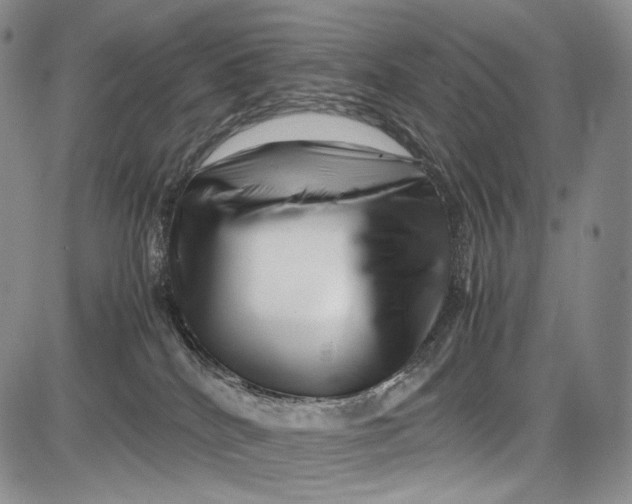 X0000081610040200702051405