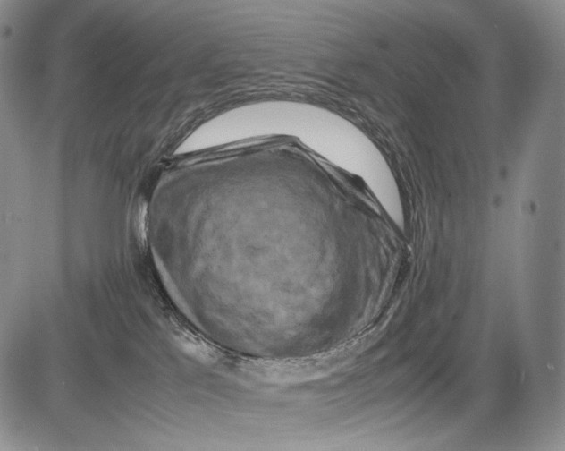 X0000081610041200702051405