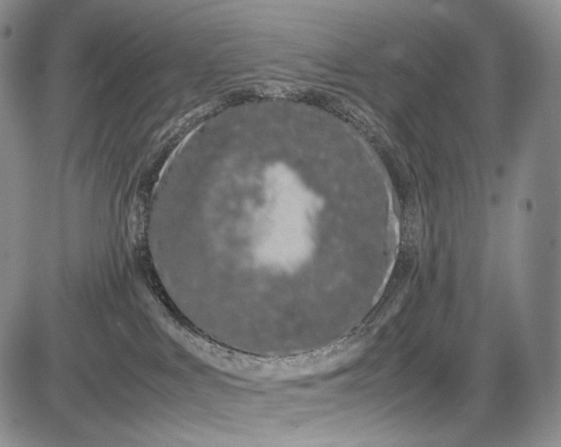 X0000081610043200702051405