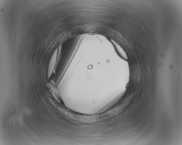 X0000081610044200702051405