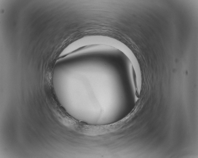 X0000081610045200702051405