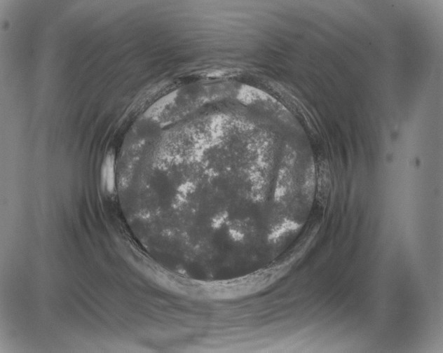 X0000081610046200702051405