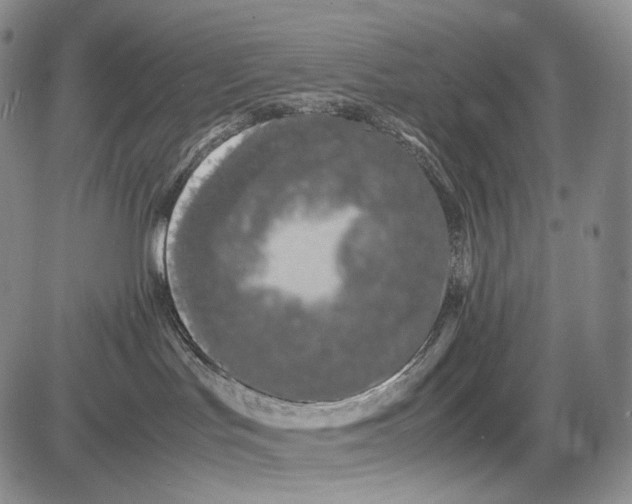 X0000081610047200702051405