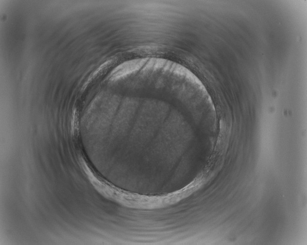 X0000081610048200702051405