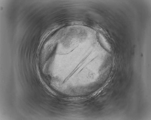 X0000081610049200702051404