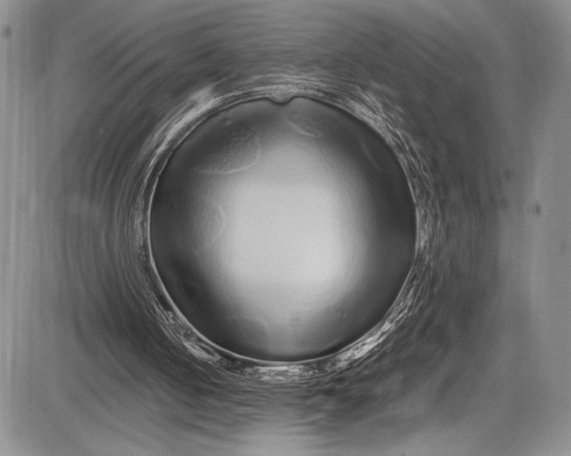 X0000081610050200702051404