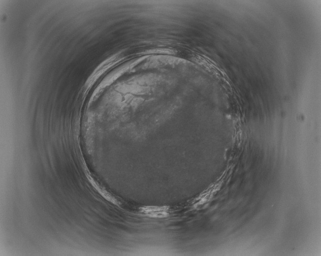 X0000081610051200702051404