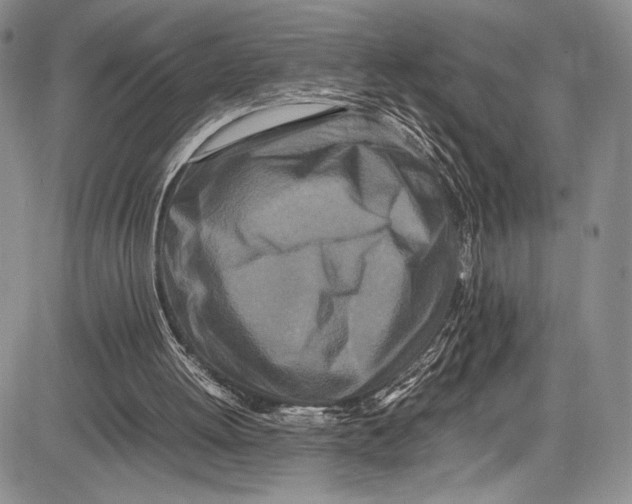 X0000081610052200702051404